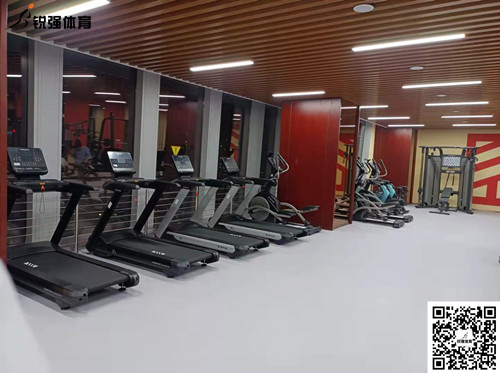 j9国际站完成的济南某部门单位健身房